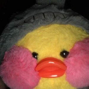 Meet your Posher, Josephi